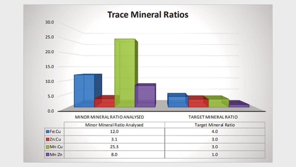 Analysis report showing trace mineral ratios
