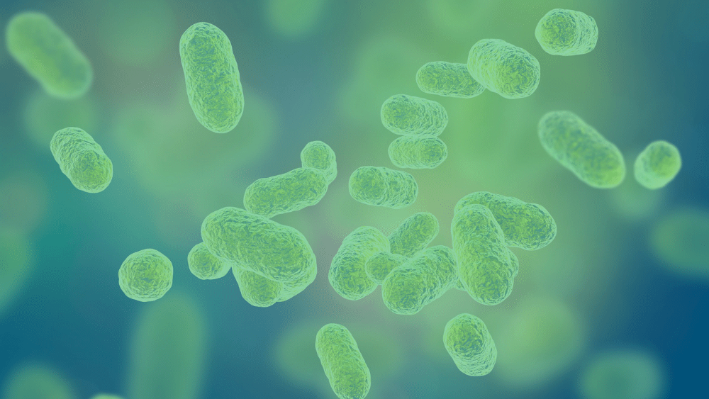 A picture of microbiome bacteria