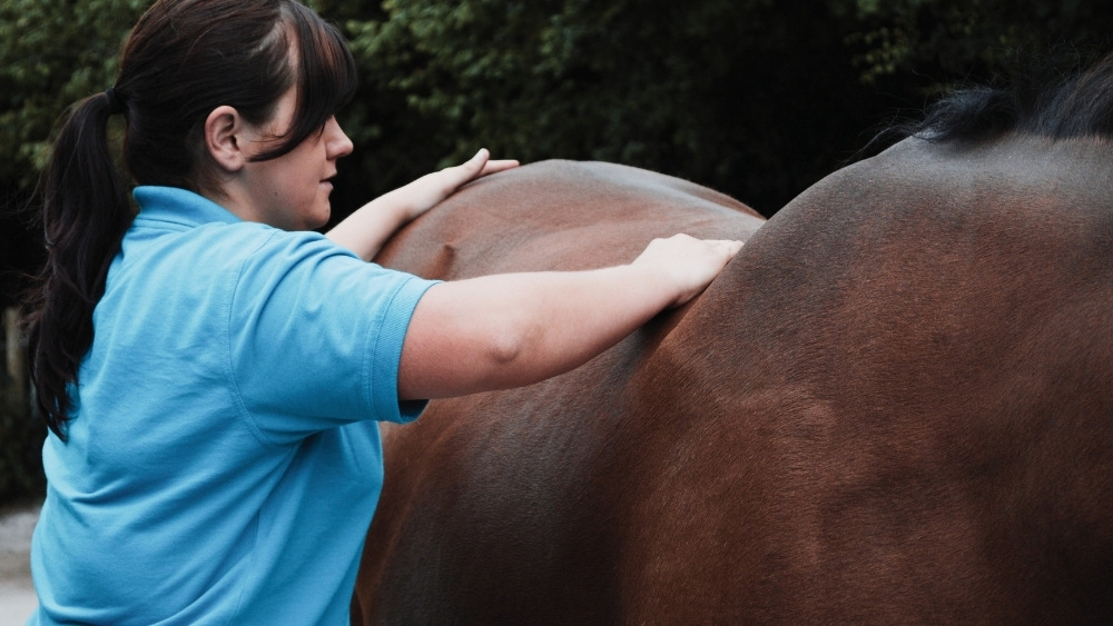 Massage for EPSM and PSSM Horse