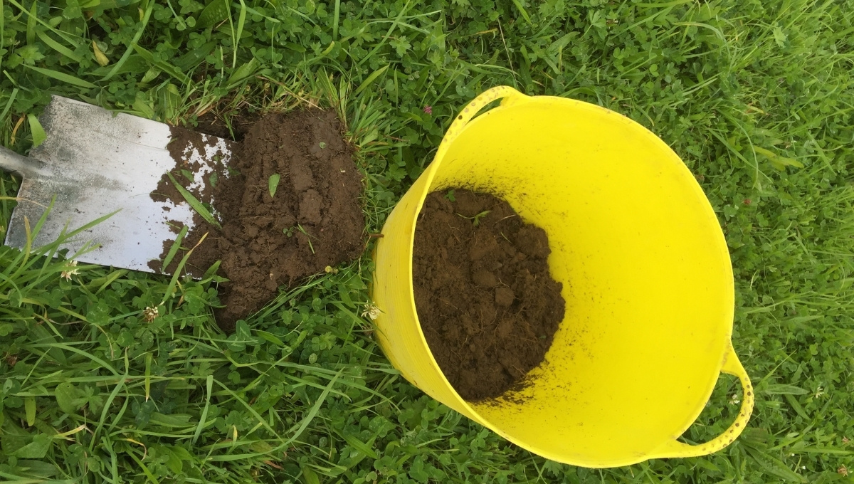 Testing Soil for Horse Pasture